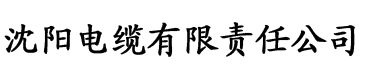 宅男视频APP版高清电缆厂logo